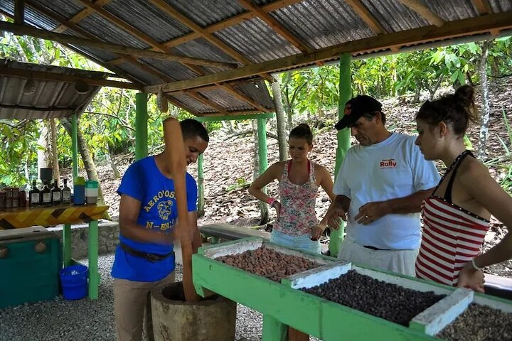 Punta Cana: Cultural half-day tours in the Dominican Republic - Photo 1 of 15